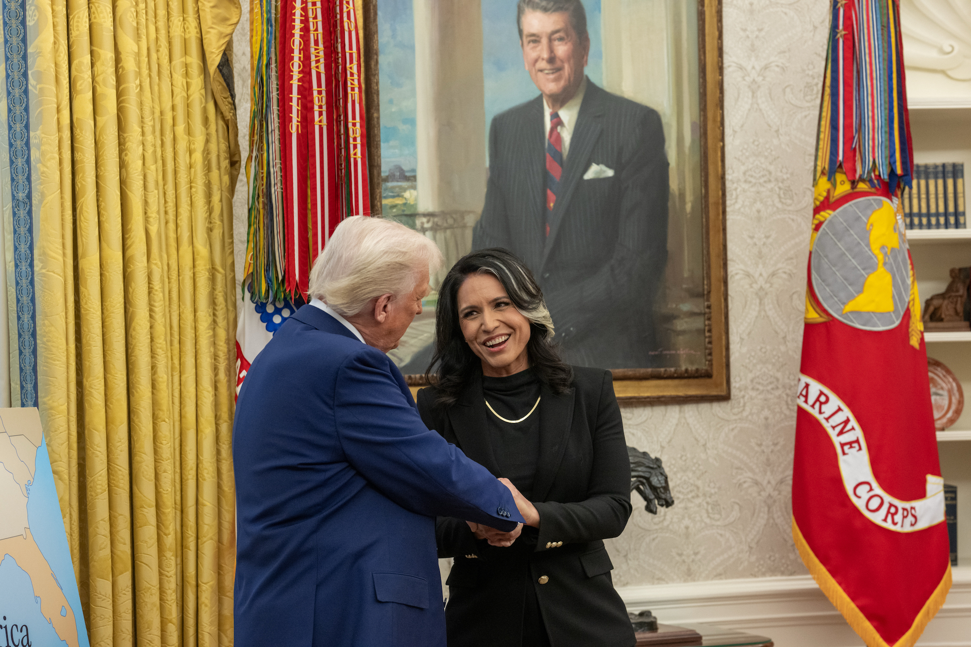 Director of National Intelligence Tulsi Gabbard